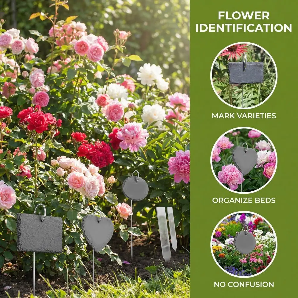 30Pcs 200mm Length Plant Label Hooks Stainless Steel 2.0mm Diameter Garden Markers Stake Rustproof Durable Plant Label Holder