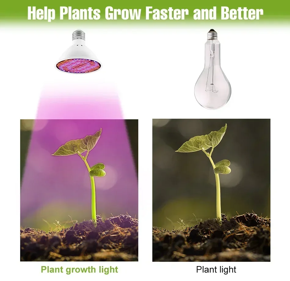 Led planta crescer luz hidroponia interior flor mudas legumes cultivo lâmpada caixa de crescimento lâmpada 220v mudas crescer luz e27