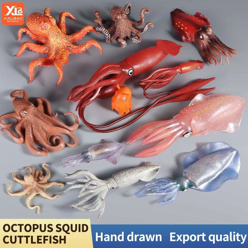 Educational Marine Molluscs ModelToys - Simulation Squid Octopus Growth Cycle Action Figure for Kids Sealife Animal Collection
