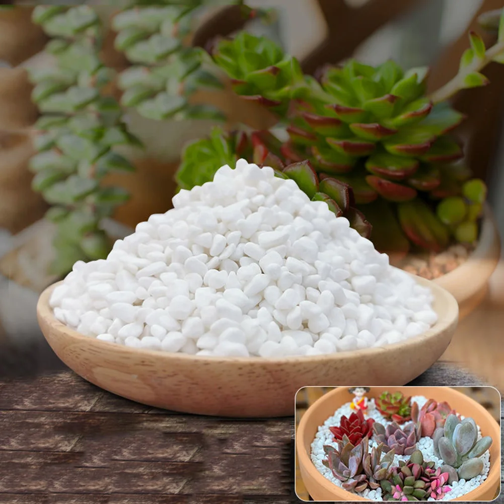 500g Natural River White Pebble For Succulent Fish Tank No Vase Plant Home Garden Decor Landscape Figurine Mini Stone Wholesale