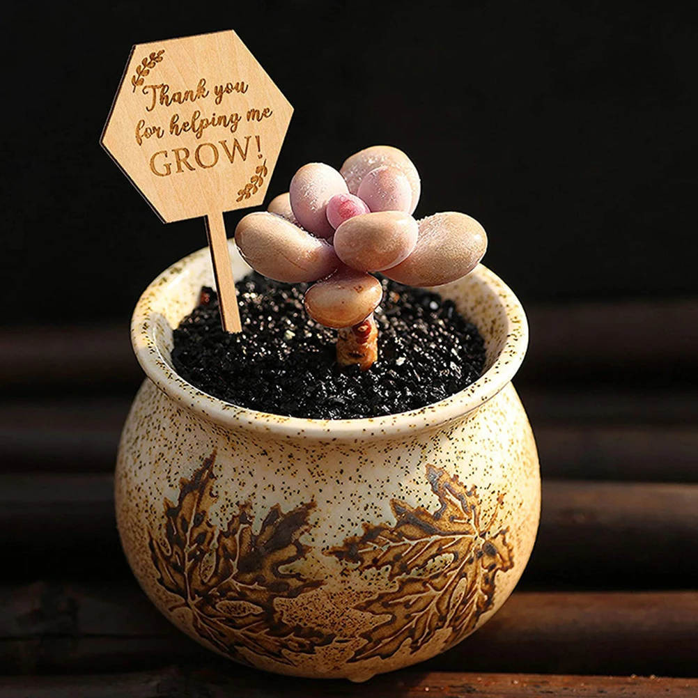 

40pcs Wooden Plant Labels Garden Flowerpots Lawn Succulents Markers Tags Durable Identifying Boards Greenhouse Outdoor for Home