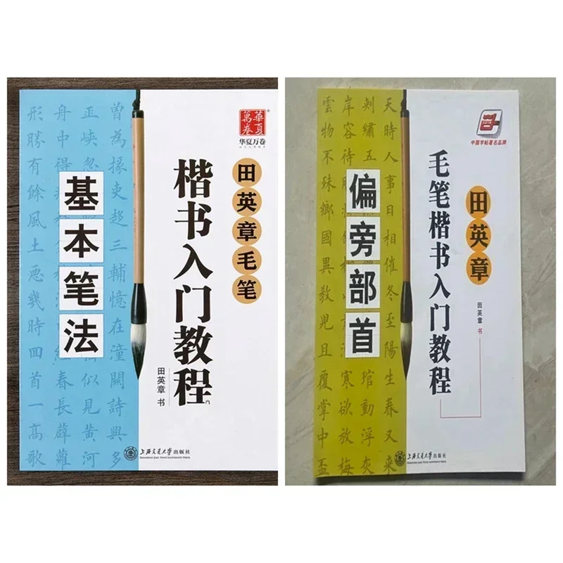 Chinese Calligraphy Book Tian Yingzhang Regular Script Tutorials Copybook