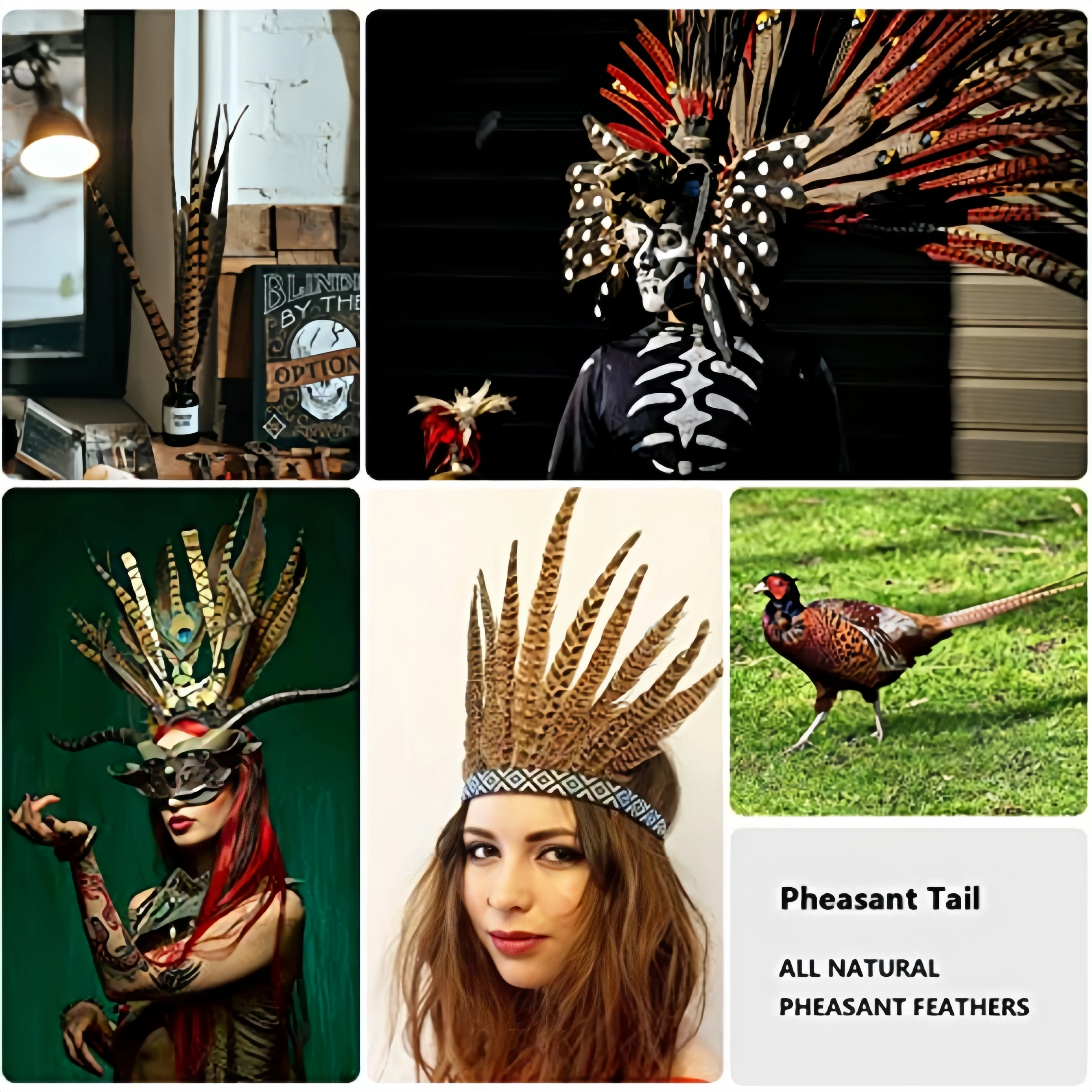 Natural Male Pheasant Tail Feathers 10-60cm Ringneck Pheasant Feathers for DIY Crafts Wedding Party Stage Decoration