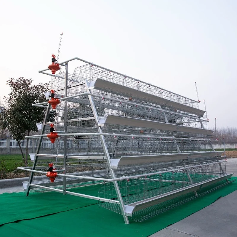 

Клетка для яиц Коммерческое оборудование для разведения птицы Автоматизированная клетка для яиц