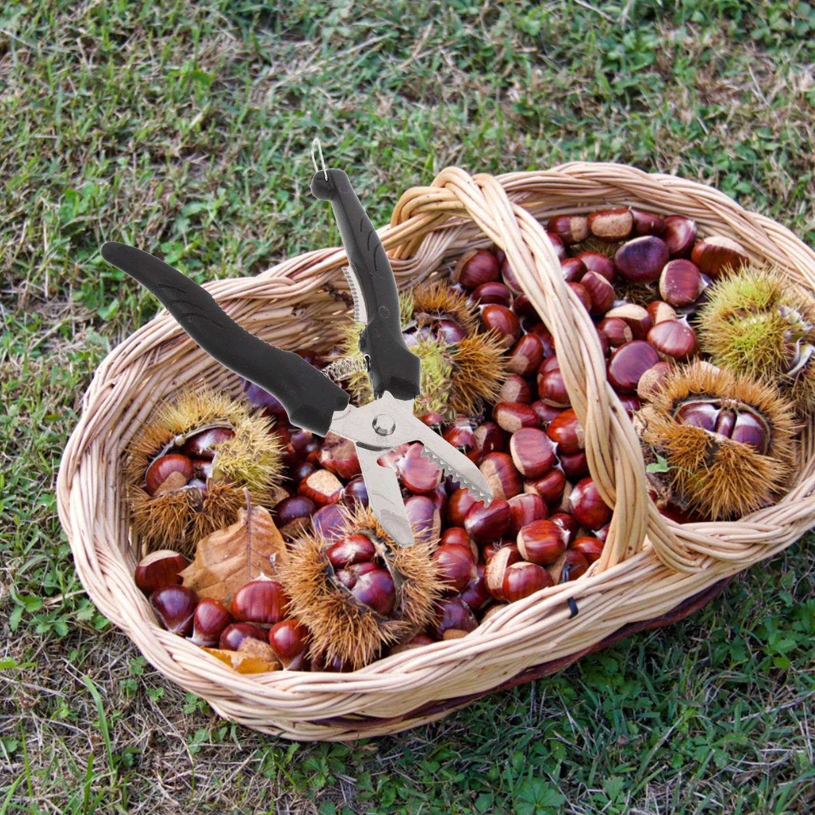 

1Set Stainless Steel Chestnut Opener Ergonomic Chestnut Cracker Multifunctional Shell Removal Cutter Peeler Kitchen Tool