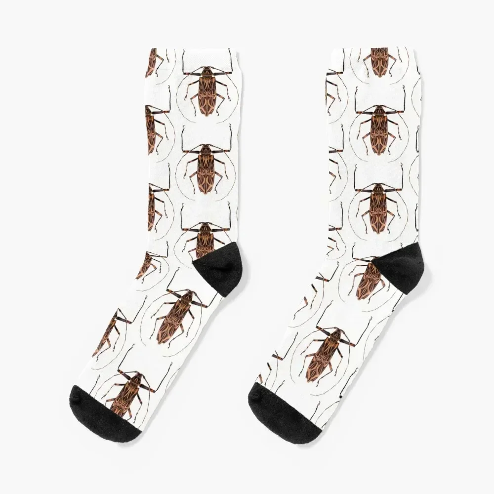 

Harlequin beetle (Acrocinus longimanus) Socks Sports Heating sock winter thermal hiphop Socks Woman Men's