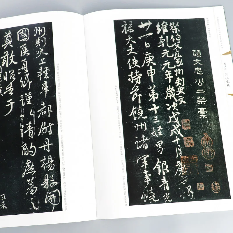 Cahier d'écriture classique chinois, Zhao Mengfu, Yan Zhenqing, Running Regméthanol Pier, Cursive Pier, Calligraphy Practice Ple