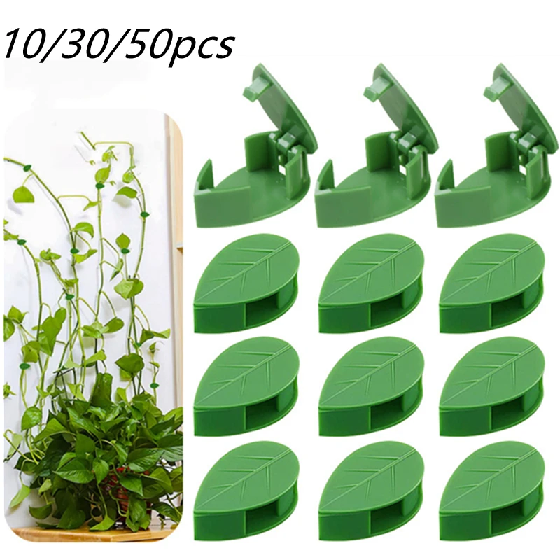 10/30/50Pc Plant Climbing Wall Fixture Clips Rattan Vine Fixer Self-Adhesive Hook Invisible Garden Binding Clip Wall Sticky Clip