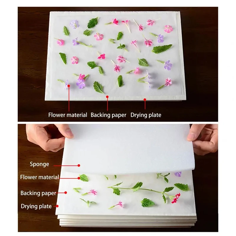 طقم ضغط أوراق ذاتي الصنع ، أداة آلة ضغط الزهور ، كتاب مجفف خشبي طبيعي ، مشغولات الحفاظ على التجفيف