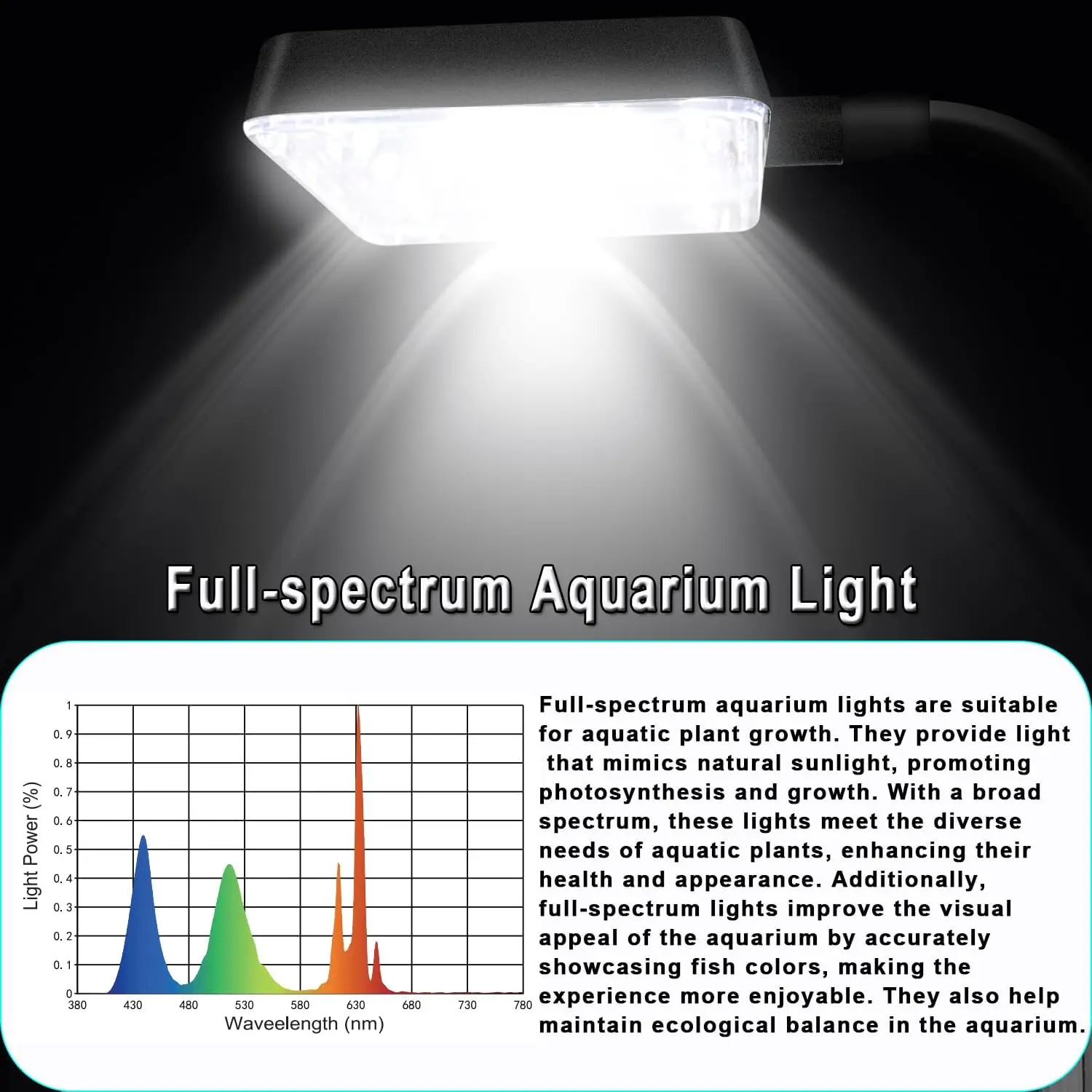 Acquario in nano vetro per pesci da 3 galloni 12,6" L, con piastra separatore per Betta, acquario quadrato multifunzionale con filtro, LED Li