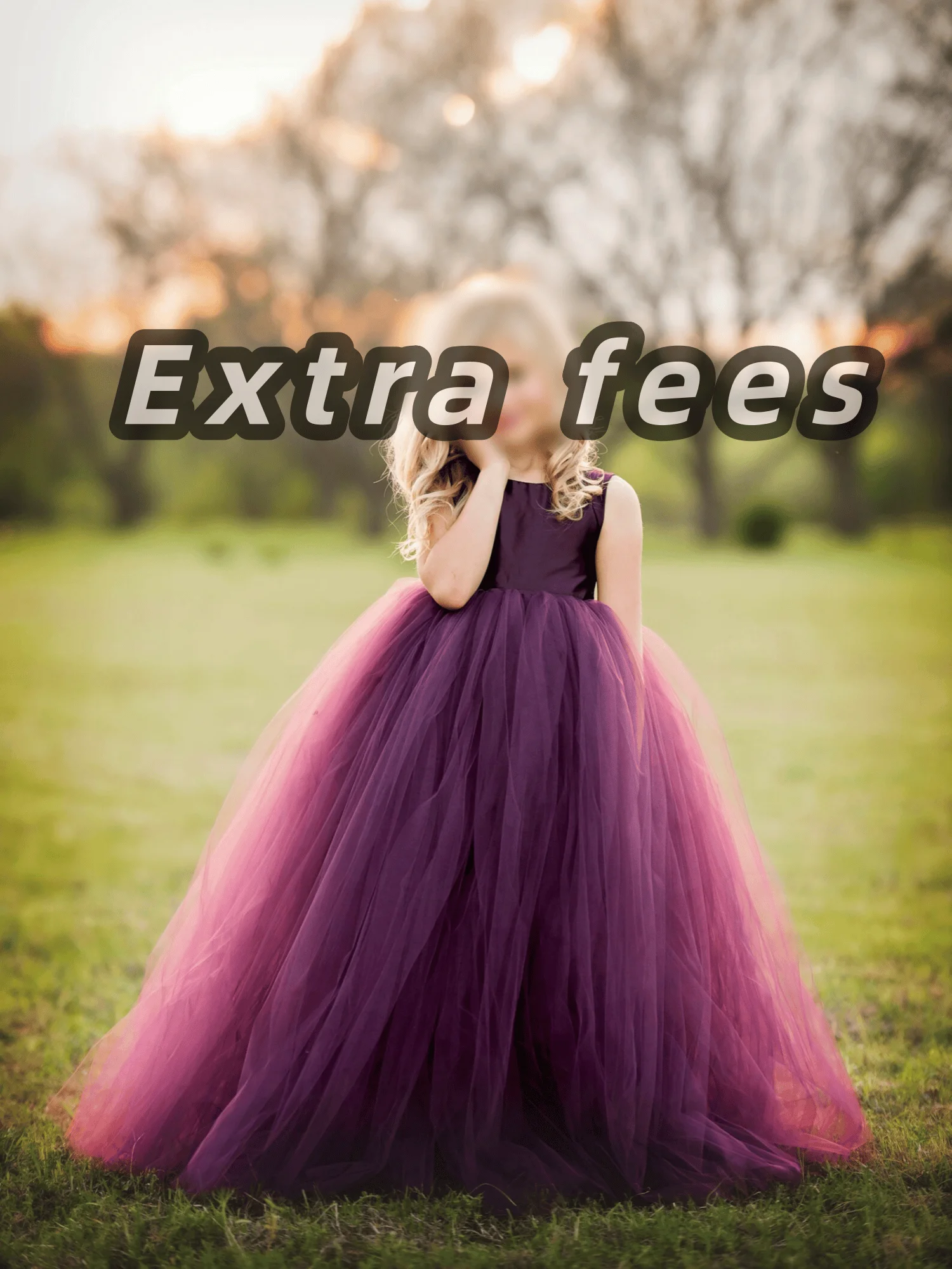 Extra fees / Customization fees / Replacement goods