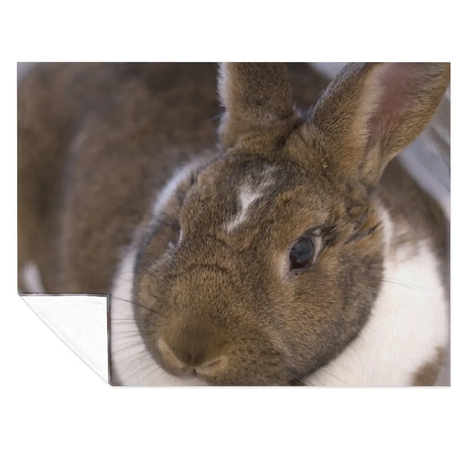 

Big bunny loves you Throw Blanket Flannel Multi-Purpose Blankets For Baby Blankets Sofas Of Decoration Blankets