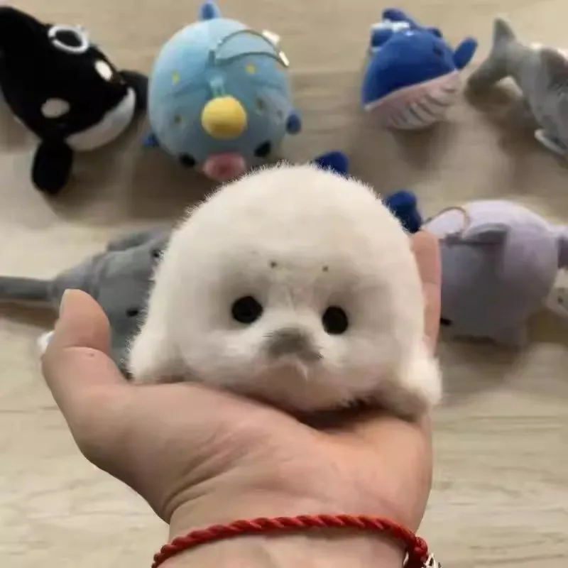 10cm Niedliche Plüschpuppe eines kleinen Seals mit Brille, Taschenanhänger, lustige Dekoration, Überraschungsgeschenk für den Partner – Detail 6