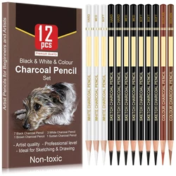 6/12 Carbon Pencil Professional White Charcoal Highlight Pencil White/Black/Colour Carbon Sketch Pencil Art Drawing Tools