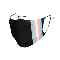 Subtle Retro Transgender Flag Design Fashion Trend Masks Washable Child Mask