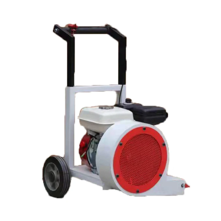 Small  Hand-push Two-wheeled Movable Park Road Leaf Dust Blower