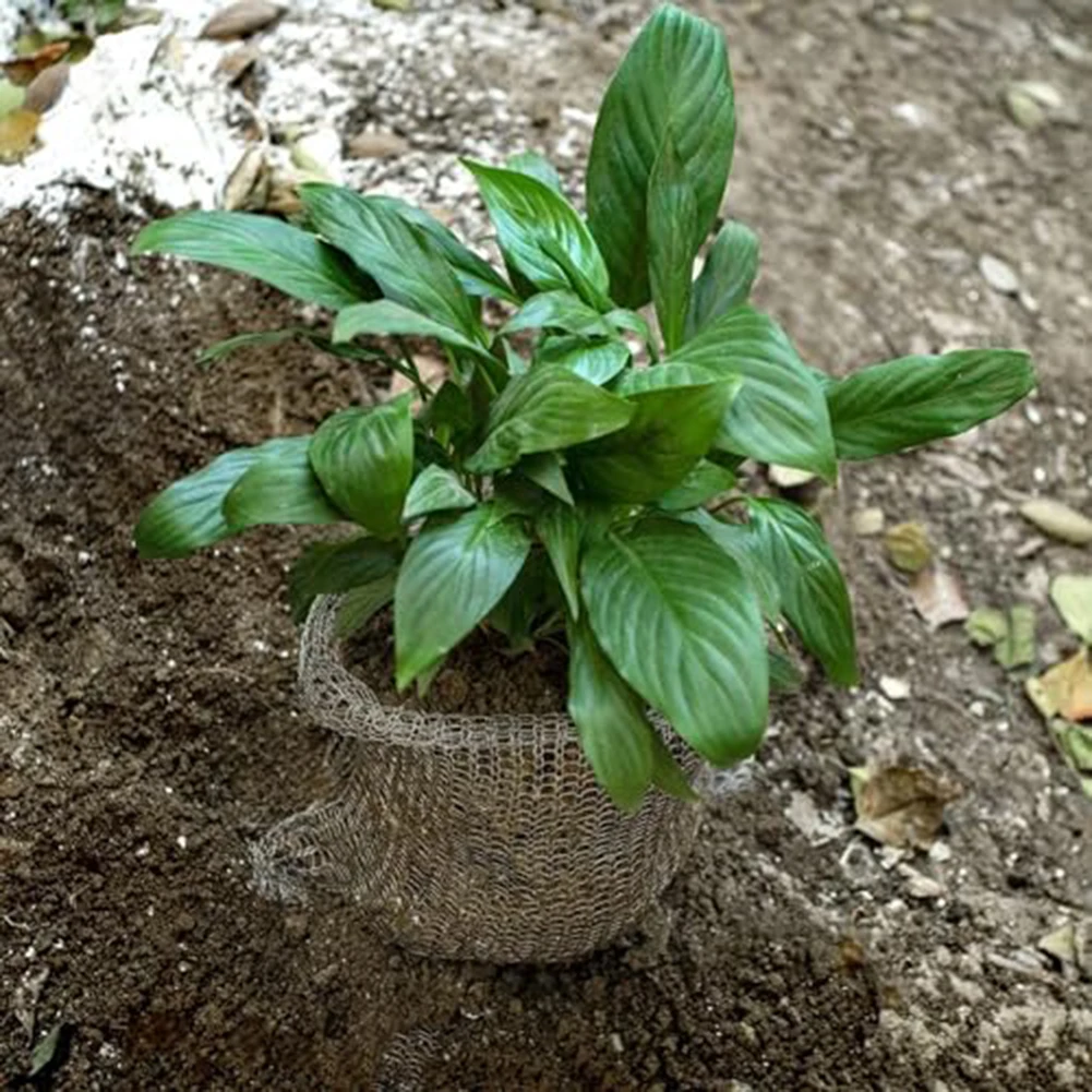 Sac de Protection des Racines des Plantes en Acier Inoxydable 304, 3 Pièces