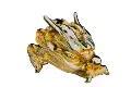 Zinc alloy-E