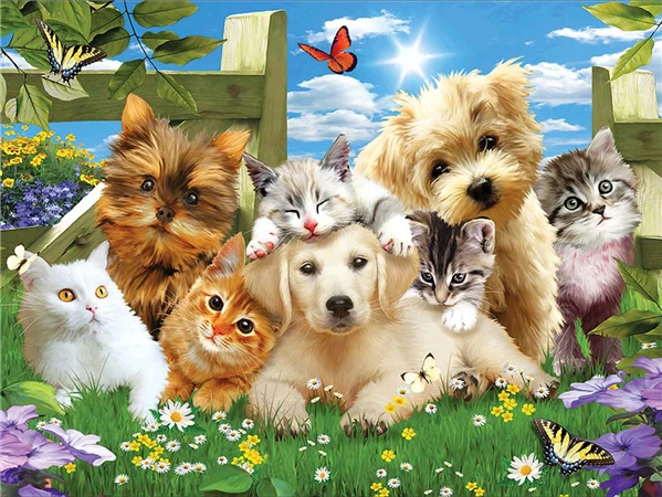 DCIDBEI 5D Diamond Painting Set – Hund Mit Brille, 30x40 Cm, Runde Steine, Für Erwachsene & Kinder (ohne Rahmen)