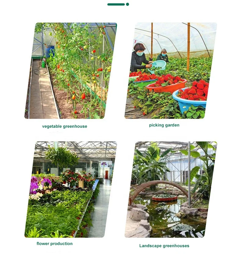 Szeroka oferta paneli PC do szklarni o niskim kosztie, szklarnie do uprawy ziół, szklarnie do pomidorów ze stalową konstrukcją i systemem hydroponicznym na rok 2025.