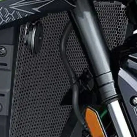 

Для KAWASAKI H2 Ninja H2R NINJAH2 мотоциклетная решетка радиатора, защита 2015 2016 2017 2018-2023 2024 2025 2026