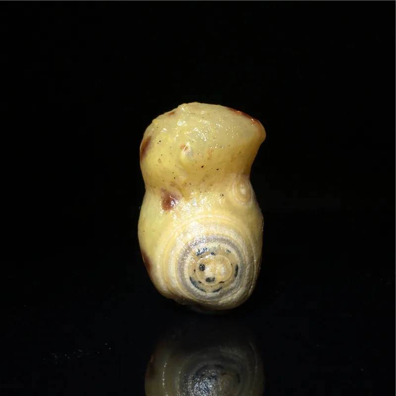 Natural Alashan Gobi Agate Eye Stone Rough Stone Original Color Shape Energy Healing Crystal Collection Gemstone