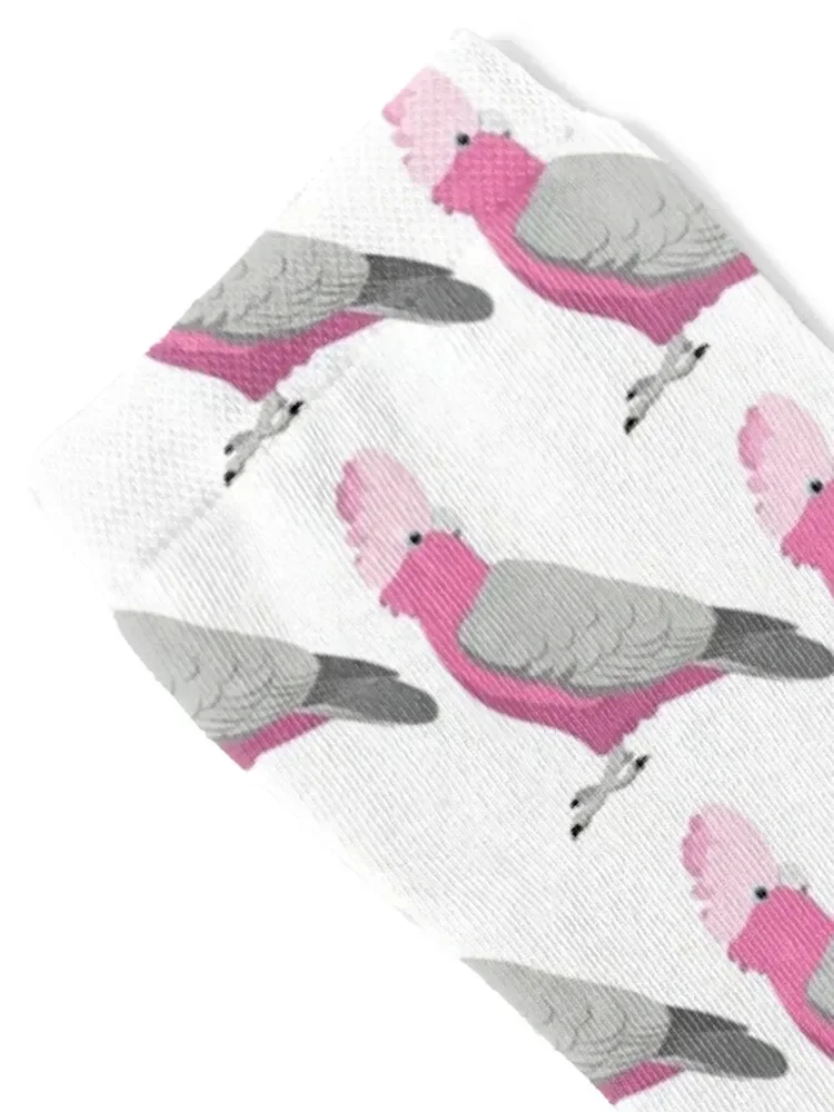 Galah Socks cycling Children's Socks Women Men's