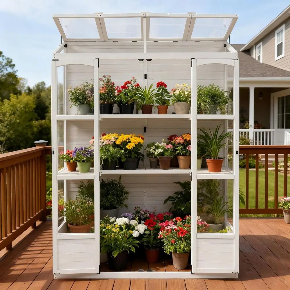

Tall 78 Wooden Greenhouse with 4 Skylights, 2 Shelves, Double Door for Outdoor Gardening (White + Wood)