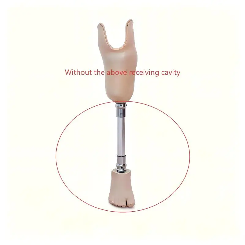 Lightweight Artificial Leg Kit (Including Prosthetic Foot) for Below-Knee Amputation, Stainless Steel Prosthetic Components