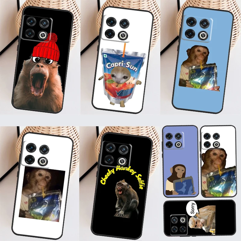 Monkey Sipping  Capri Meme Funda For OnePlus Nord N20 N10 N30 CE 3 Lite Nord 2 2T OnePlus 11 9 10 Pro 8T 10R 10T Case