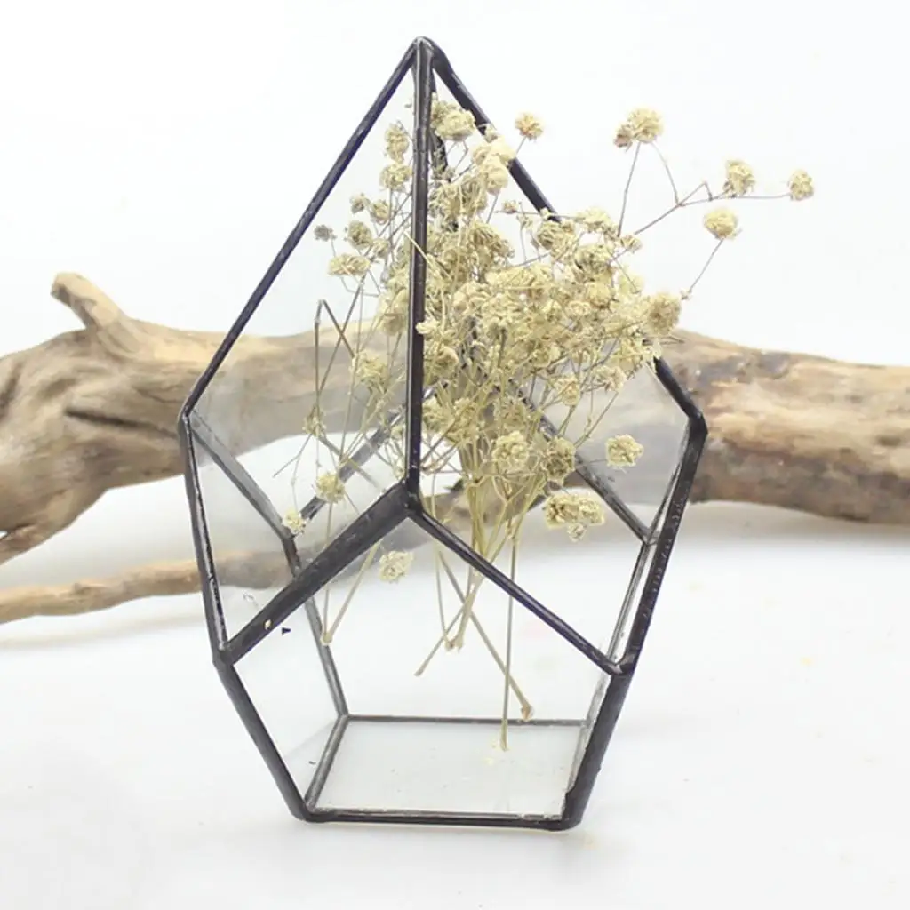 Geometric Shape Glass Flower Pot Terrarium Box Moss Succulent Plant Display Case Holder