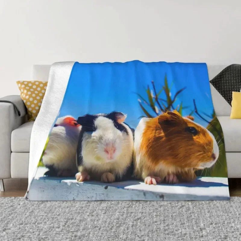 

Guinea Pig Fleece Throw Blanket Cute Animal Blanket for Bed Outdoor Lightweight Plush Thin Quilt