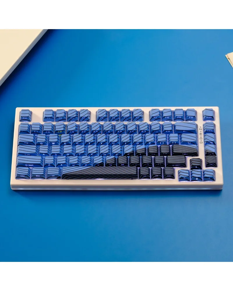 

Transparent keycap PBT thermal sublimation, mechanical keyboard cap wooting Mega lion