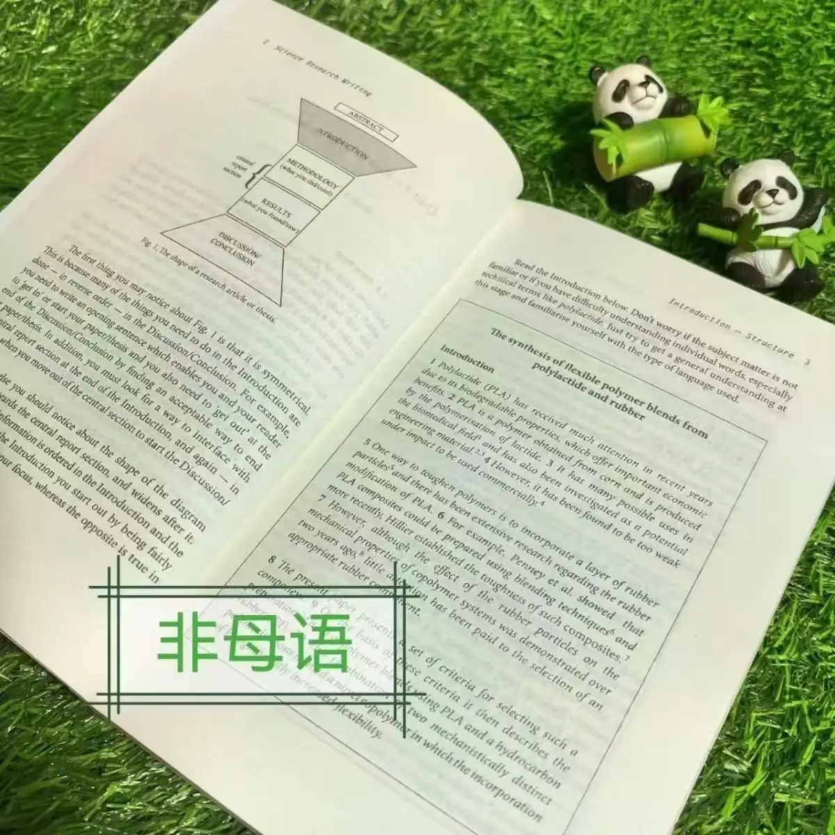 Escrita de pesquisa científica: um guia não natural