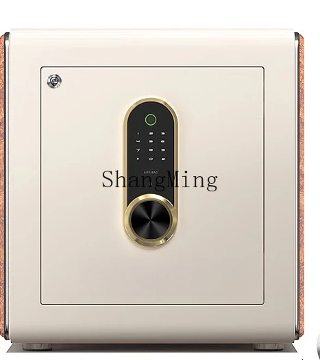 ZYY Home آمن ضد السرقة، بصمة الإصبع، كلمة المرور، التعرف على الوجه، آمن للمكتب المنزلي، كبير في الحائط