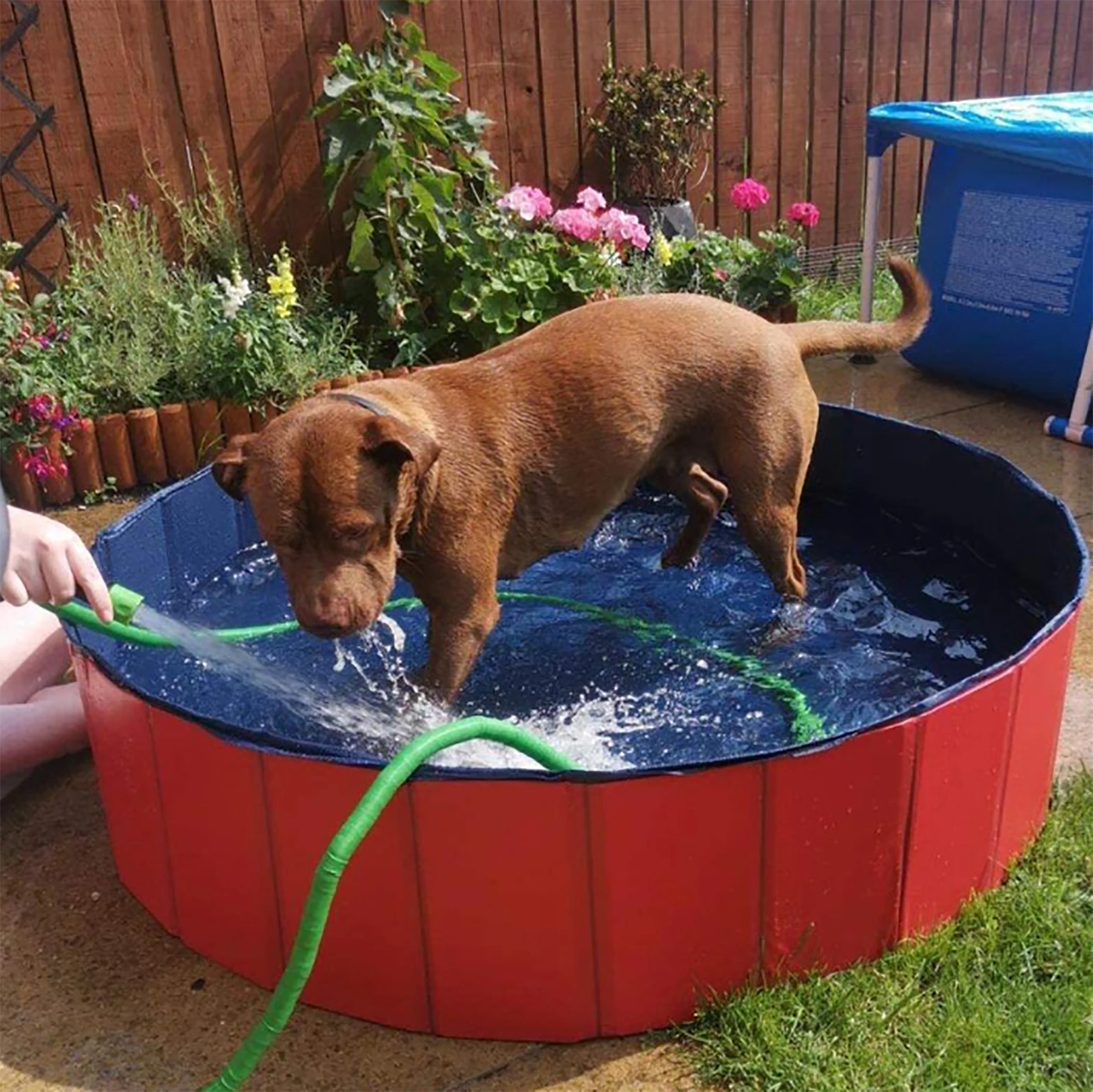 Dog Outdoor Wash Foldable Swimming Pool Pet Portable Foldable Bathing Tubs For Cat Dogs Pets Products