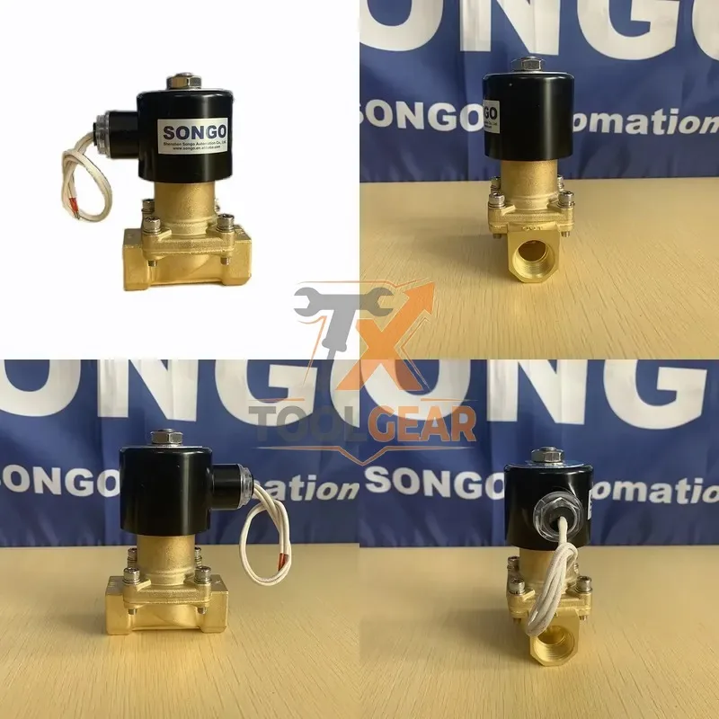 2026China*Factory* SONGO 16bar High Pressure 2 Way 12VDC Piston Steam Brass Magnetic Solenoid Valve