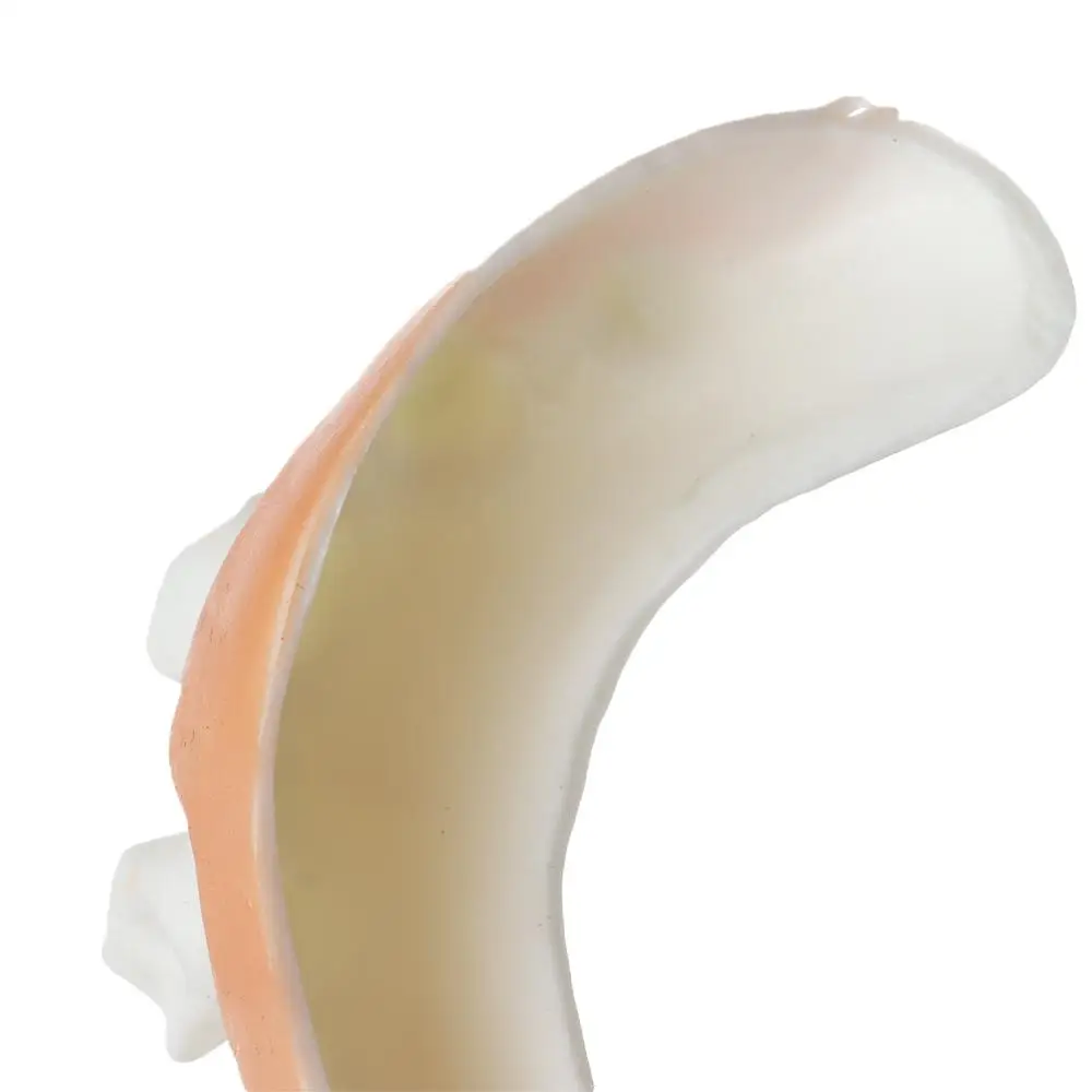 12 pezzi decorazione di Halloween scherzo divertente dente C denti marciti borse da festa vestito operato scherzo creativo giocattoli horror gadget divertenti