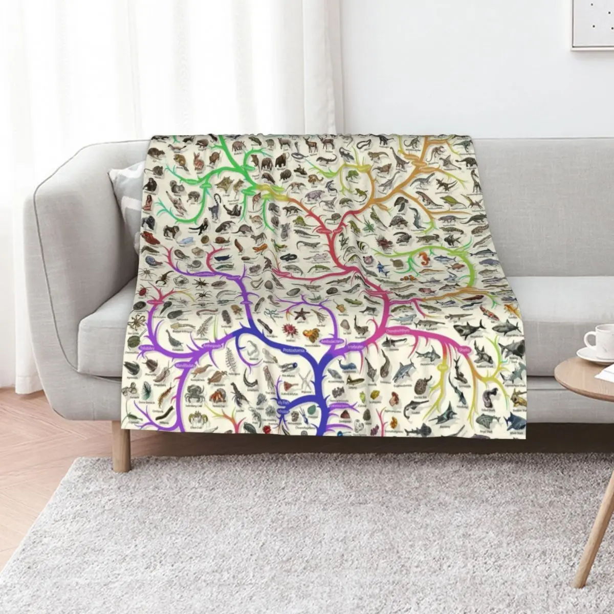 Animal Tree of Life Poster - Evolution - Colour (English Annotations) Throw Blanket for sofa Hairy Blankets