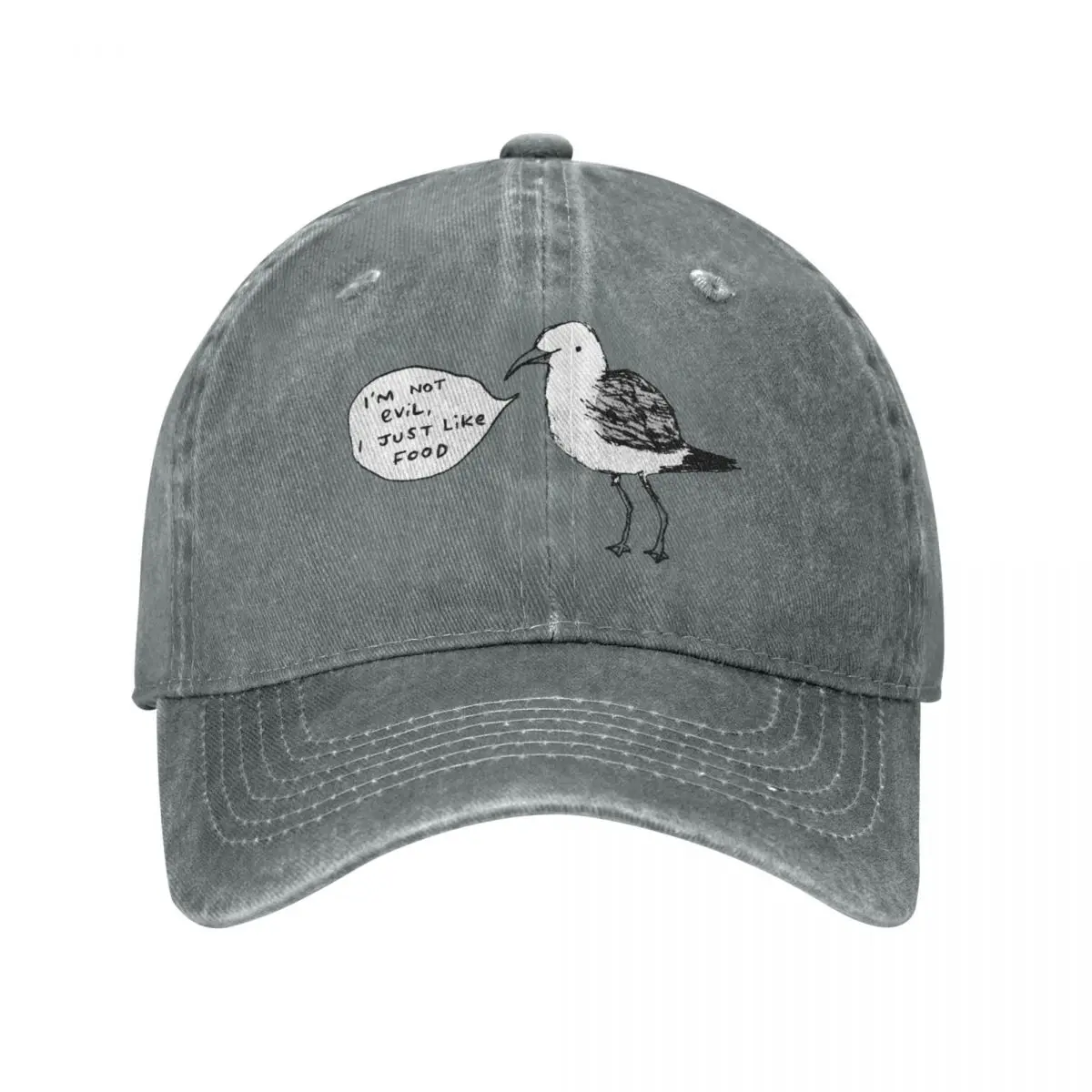 Seagulls Aren't Evil Cap Cowboy Hat horse hat women's winter cap Men's