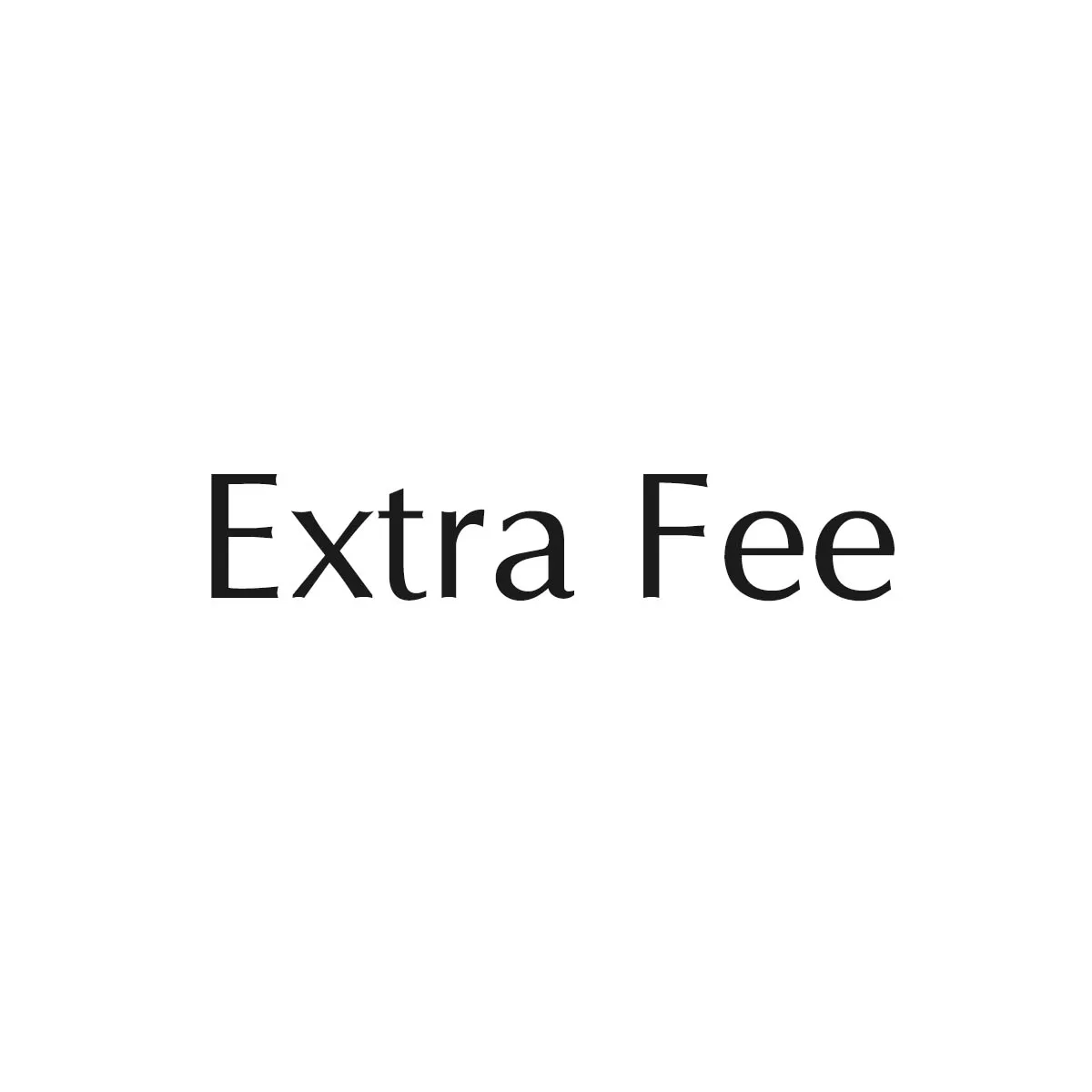 Extra Fee / Other Services