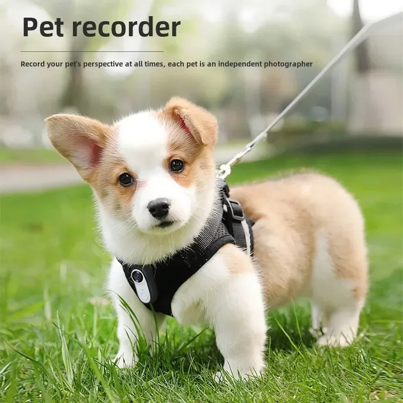 Pet recorder Cat and dog perspective Live audio and video anti-shake