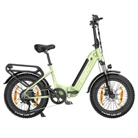 ESKUTE ES-20-LJXD Electric Bike, 250W Motor, 36V 25Ah Battery, 20*4.0 Inch CST Tire, 25km/h Max Speed,Disc Brake, LCD Display