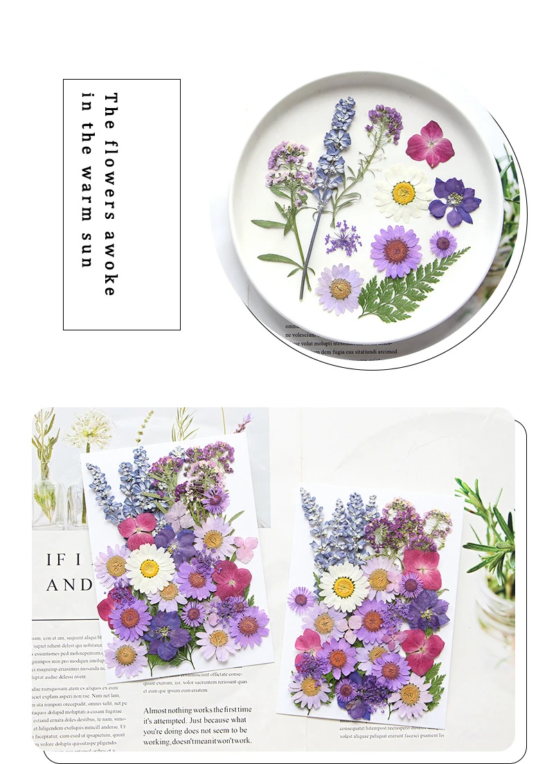 

1 Pack of Dried Flowers DIY Pressed Flower Material Kit Photo Petals Bookmarks Real Flowers Resin Dried Leaves Plant Specimens