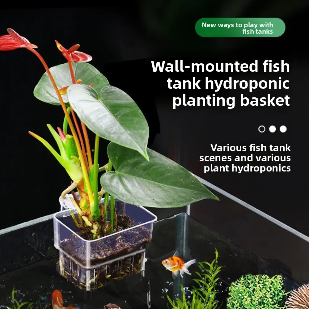 Aquarium Hydroponic…