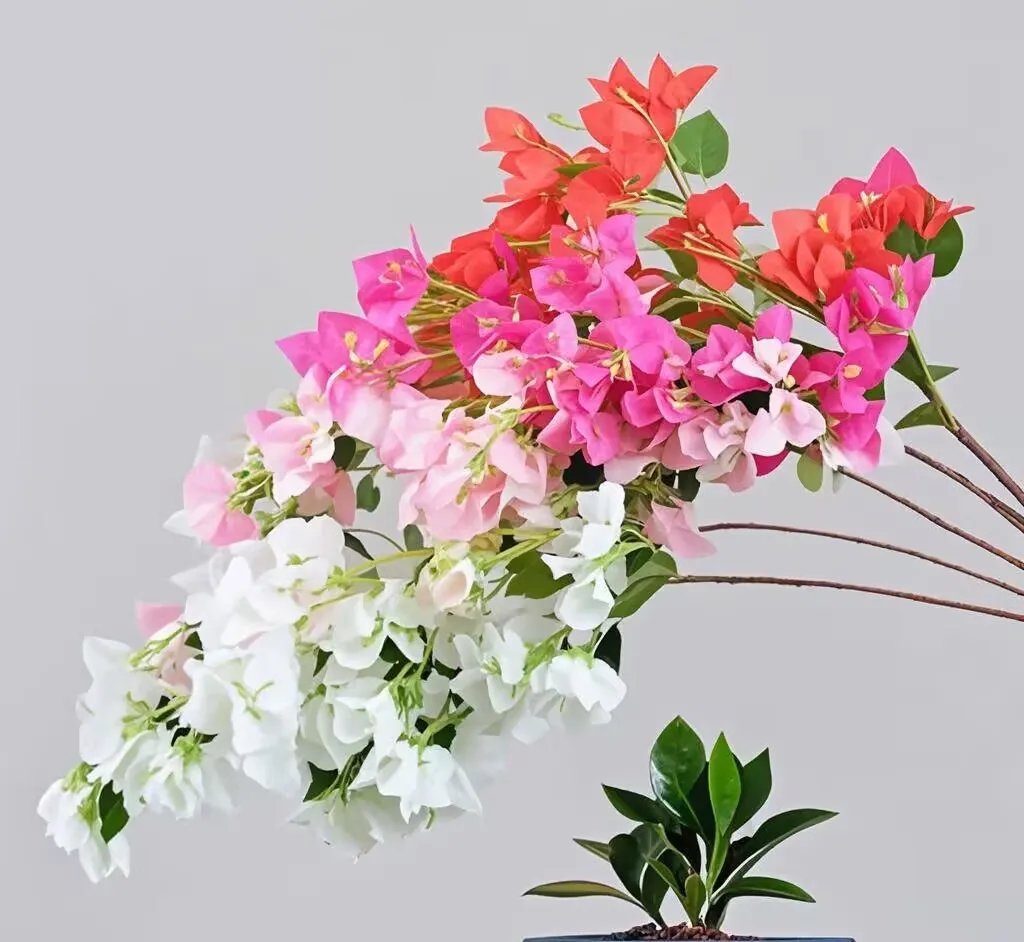 

Silk Glabra Bougainvillea for Wedding Centerpieces, Artificial Climbing Bougainvillea, Spectabilis, 39.37 ", 6 Colors, 100Pcs