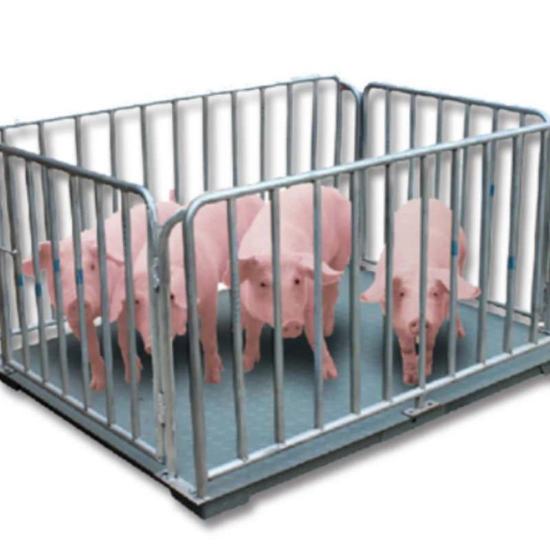 pig weight scales 2000kg livestock animal