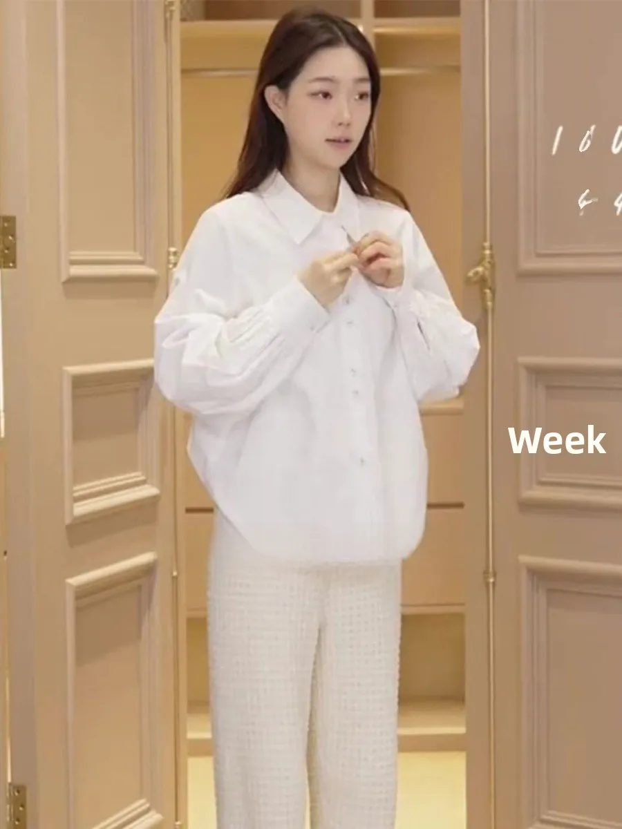 

Женская рубашка Ojear Princ Sle, модель Flagip Store Ele Commute, с длинным рукавом, воротником, приталенного кроя, однотонная, осенняя, зимняя.