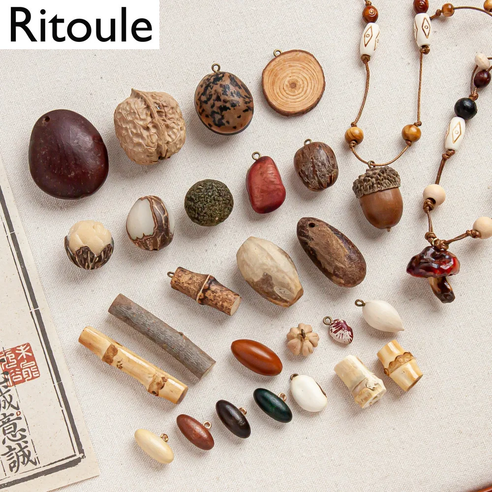 Natural Acorn & Bodhi Fruit with Eye Pins, DIY Craft Supplies for Creative Earrings & Bracelets（2 pcs）