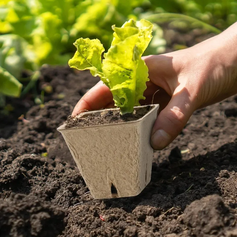 Square Biodegradable Paper Pulp Seedling Pots Breathable Seed Starting Cups Eco Plant Nursery Container Home Garden Accessories